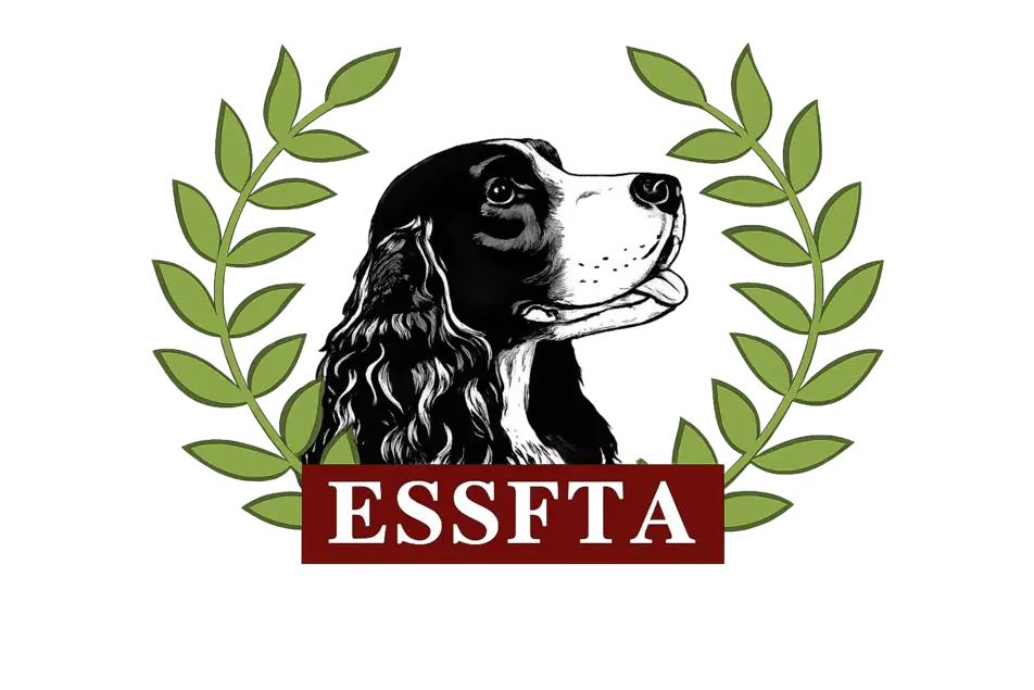 english springer spaniel