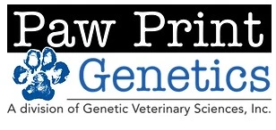 trusted english springer spaniel